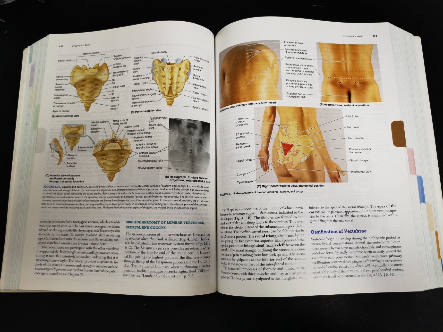 Clinically Oriented Anatomy Keith L. Moore 7th edition