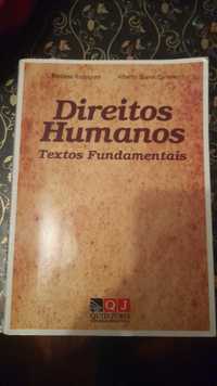 Direitos humanos textos fundamentais