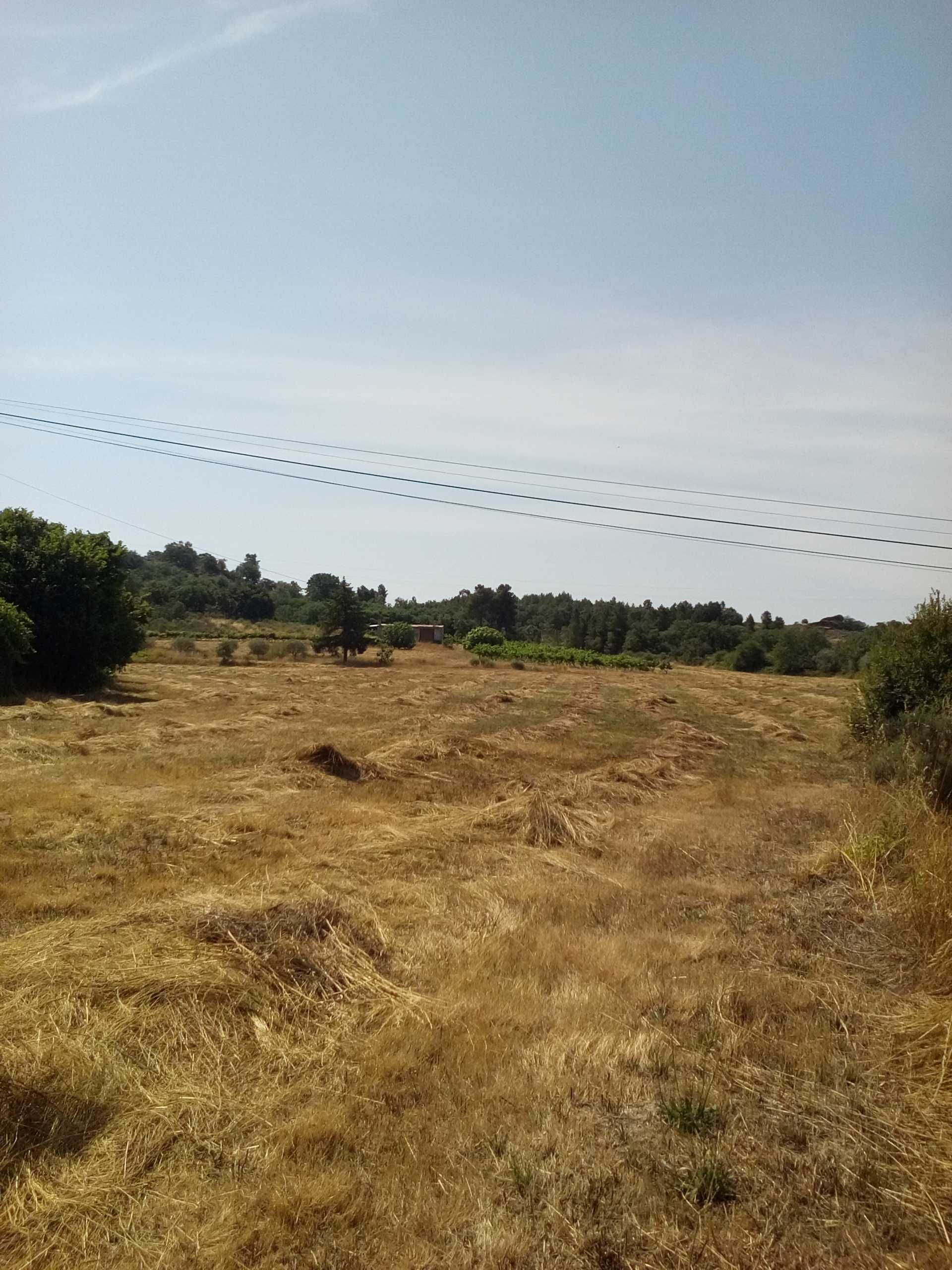 Terreno em Caria