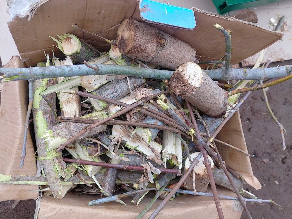 Гілкоріз Веткорез веткоруб Гілкоруб бензо- / электродвигатель 4-5.5квт