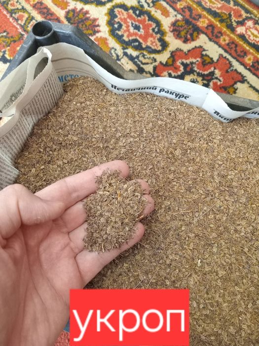 Насіння семена укроп арбуз перец дыни тыква помидоры