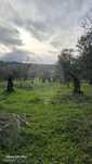 Terreno  para venda