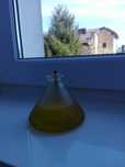 Lampa naftowa szklana