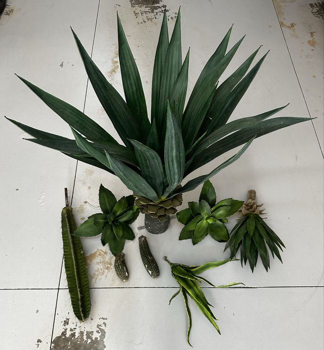 Conjunto de cactus aritificiais (8 peças)