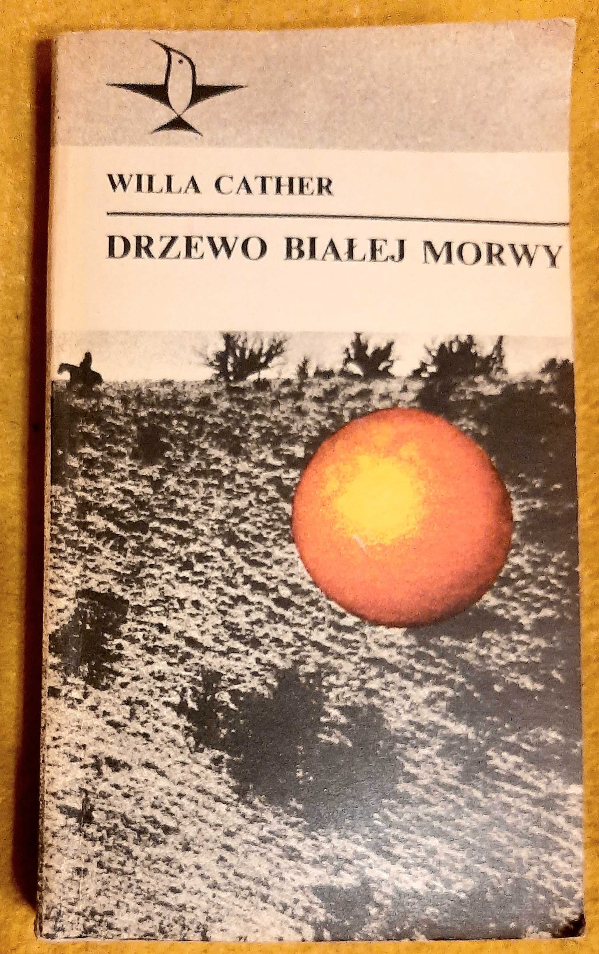 Drzewo białej morwy