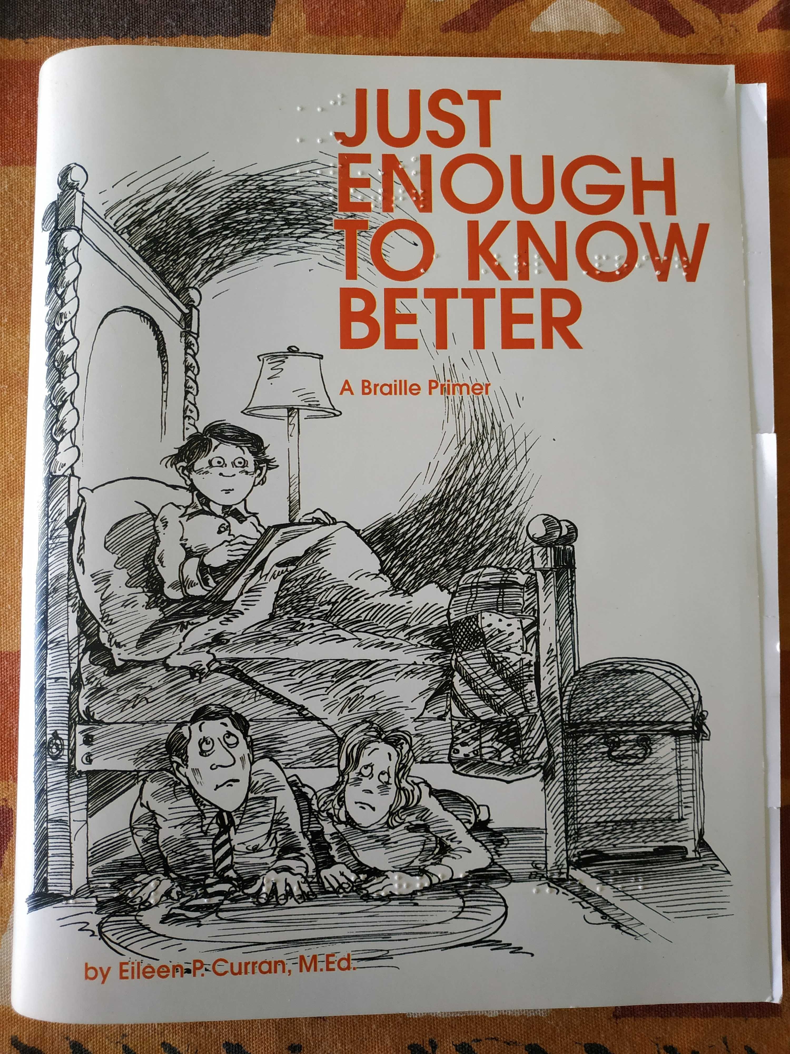 Livro Aprender a ler Braille - Just Enough to Know Better