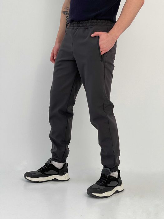 Штани чоловічі зимові утеплені на флісі софтшел сірі