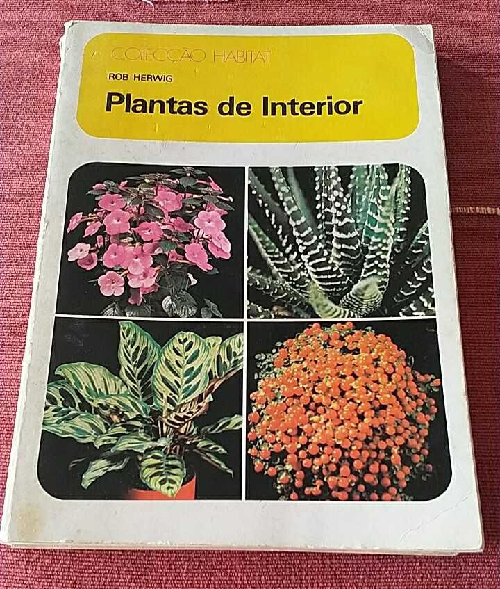 Plantas de interior