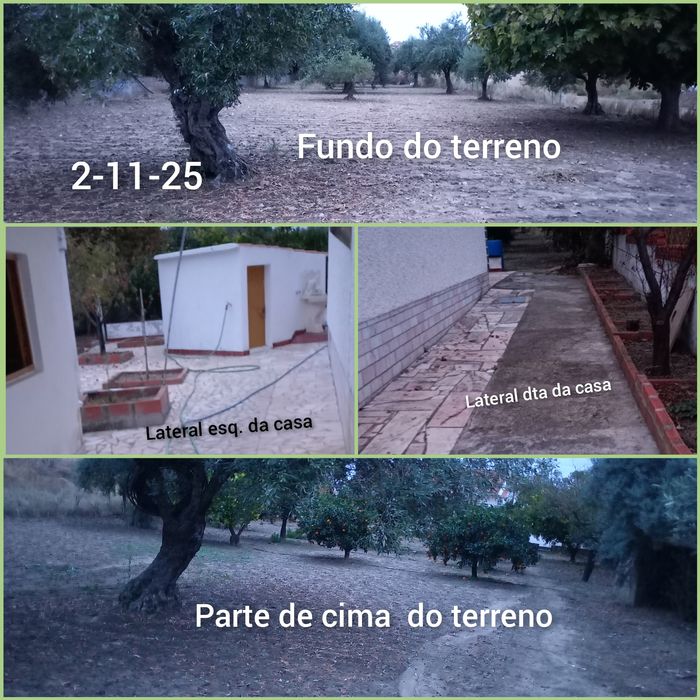 Quintinha com veia de água há mais de 40 anos