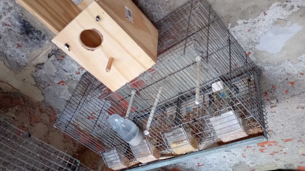 Viveiro com acessórios