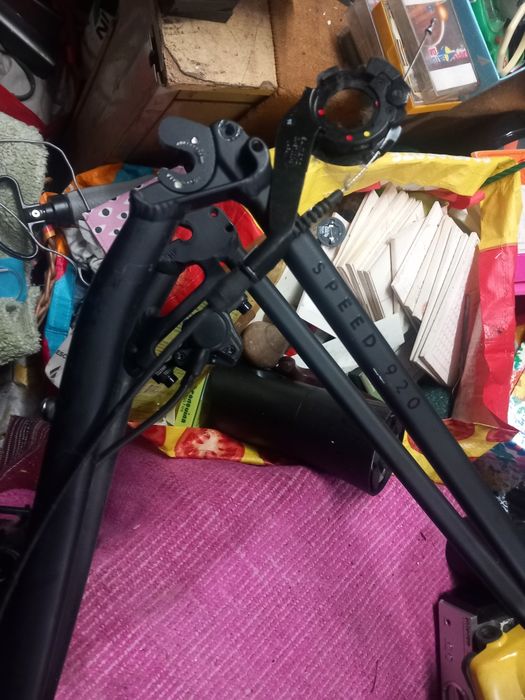 Bicicleta  elops.   ,