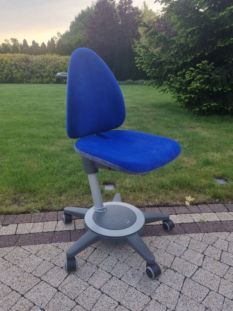 Moll Maximo krzesło ergonomiczne