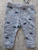 Spodenki szare Fox & Bunny Sinsay dinozaury dino 74