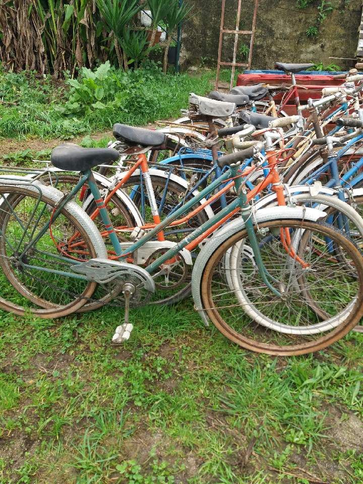 Lote de bicicletas antigas dos anos 50e60