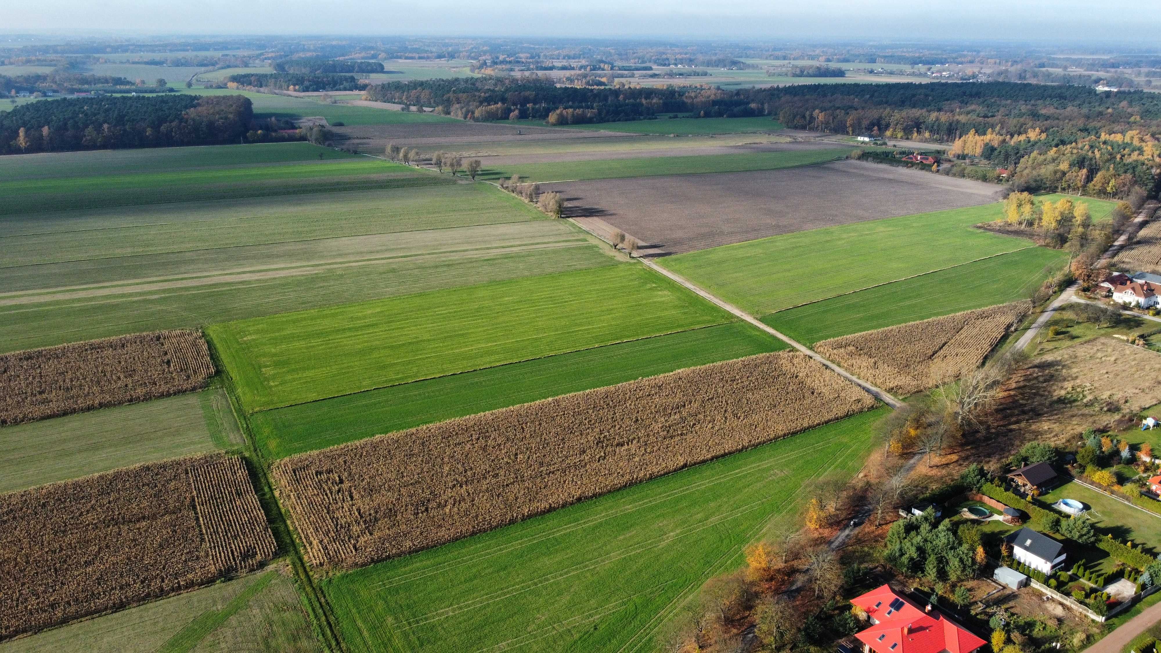 Działka budowlana okolice Lutomierska