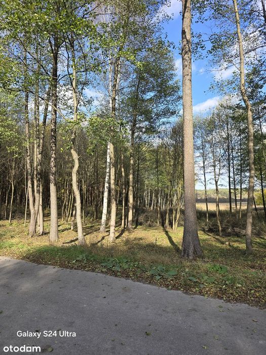 76 arów Ładna duża działka  Zarzecze Rzeczna Kopernika