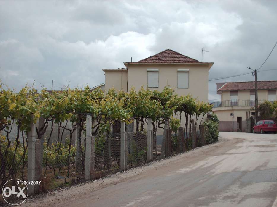 Casa rústica, em aldeia do Douro