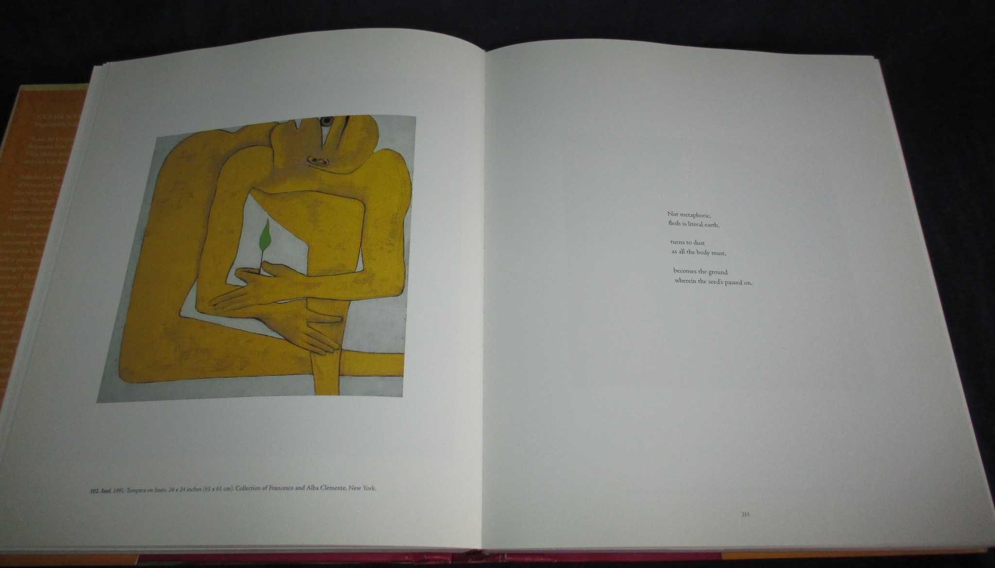 Livro Clemente Lisa Dennison Guggenheim Museum 1º edição