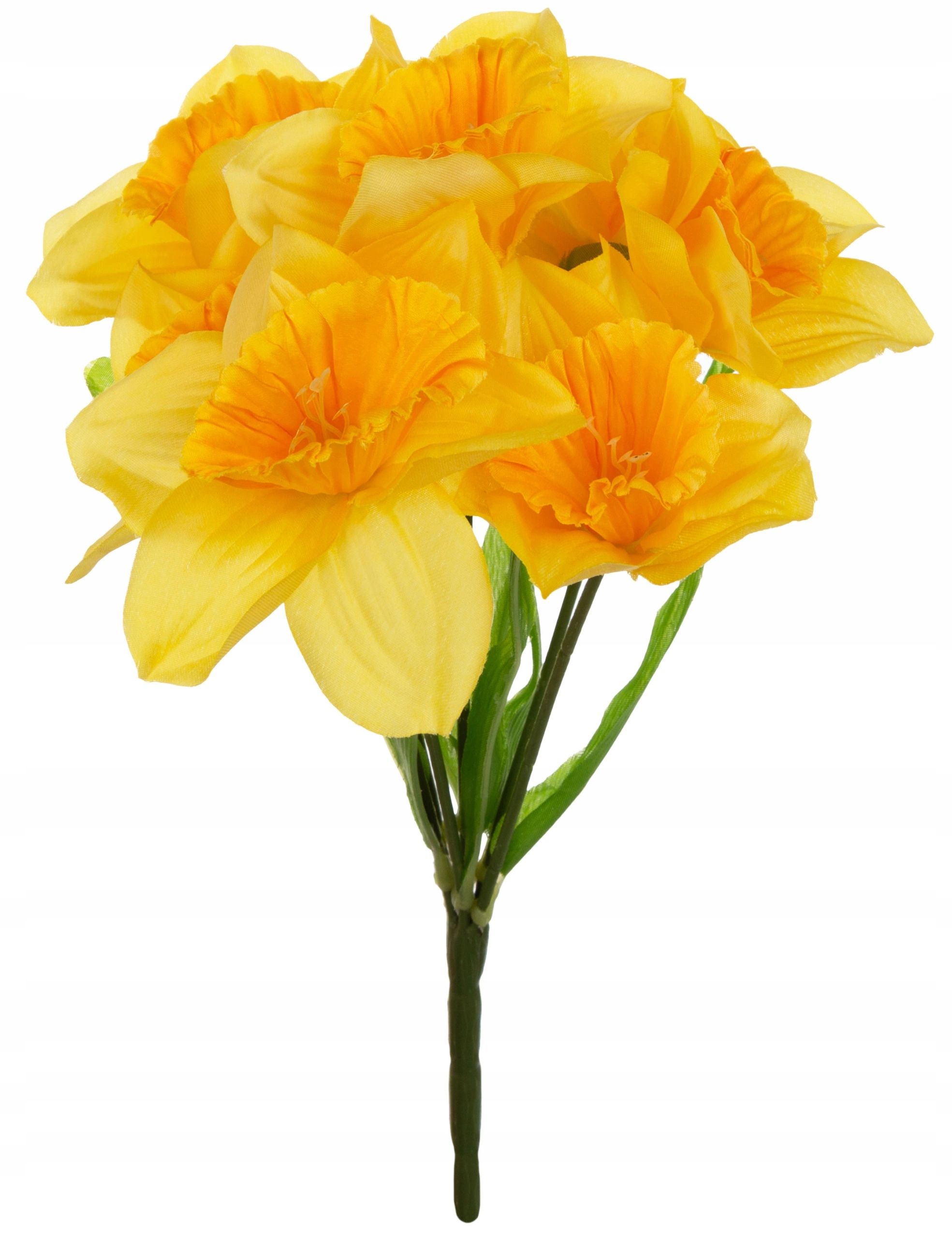 Bukiet Żonkil Żonkile 7 Kwiatów 30 Cm Żółty