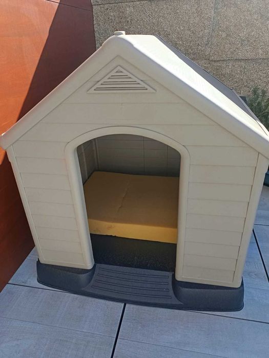 Casota para cão  nova