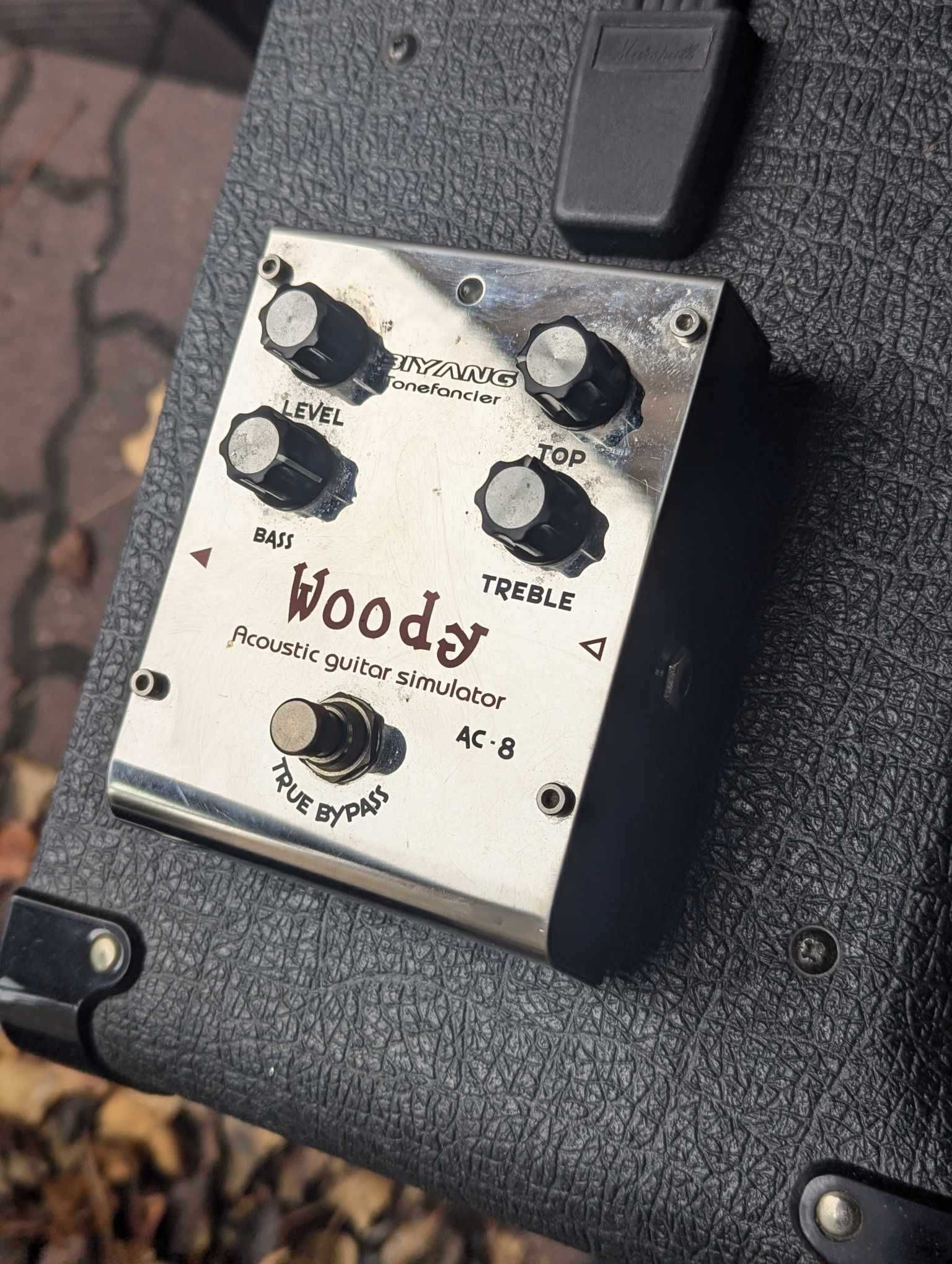 Symulator gitary akustycznej Woody Ac-8, efekt gitarowy.