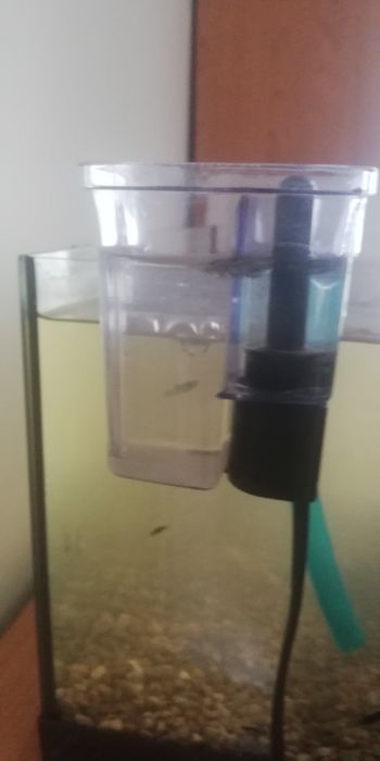 Filtr kaskadowy do małego akwarium