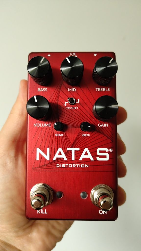 preamp Fortin NATAS (Ampeg VH140 / Ampeg SS150)