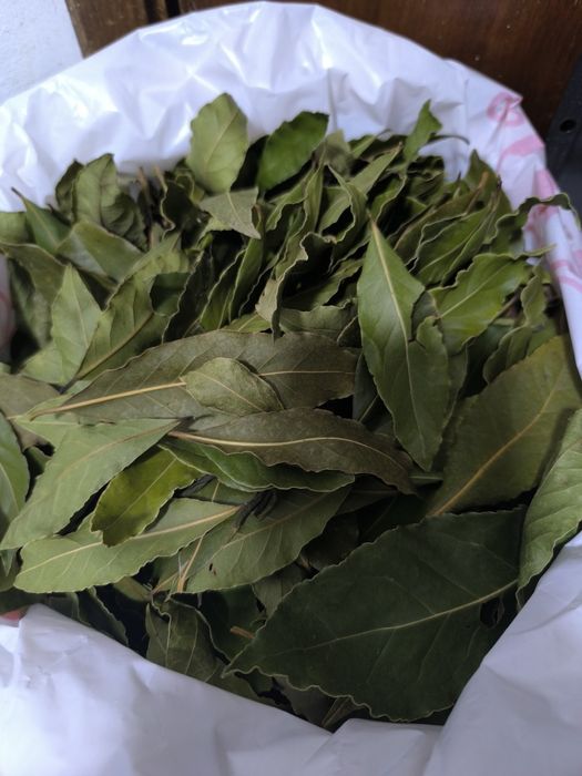 Louro em folhas para culinária
