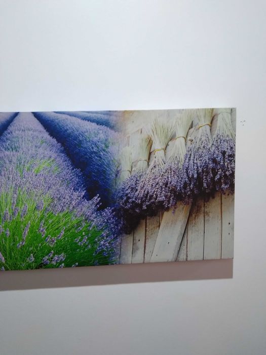 Quadros Natureza 3 peças,simples,agradaveis