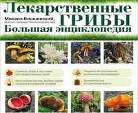 Лікувальні гриби по рецепту Вишневского. Лечебные грибы