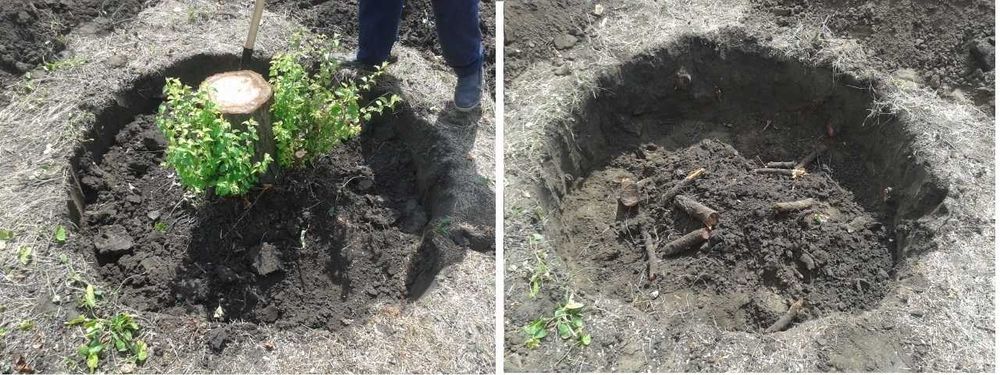 Корчевание пней Утилизация веток Спил деревьев Расчистка дач домов