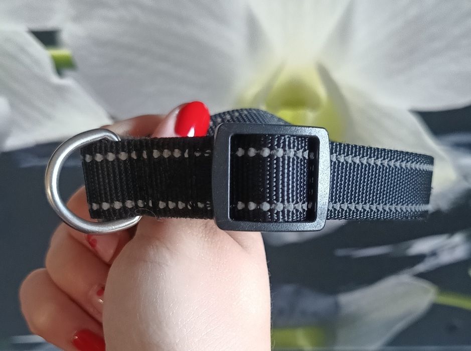 Obroża dla psa odblaskowa, regulowana, czarna, z klamrą