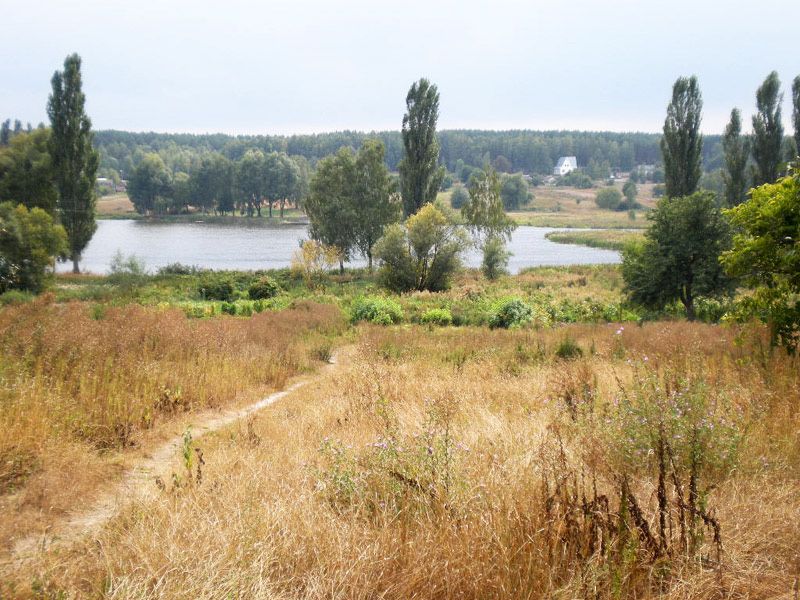 Ділянка біля озера, с. Литвинівка