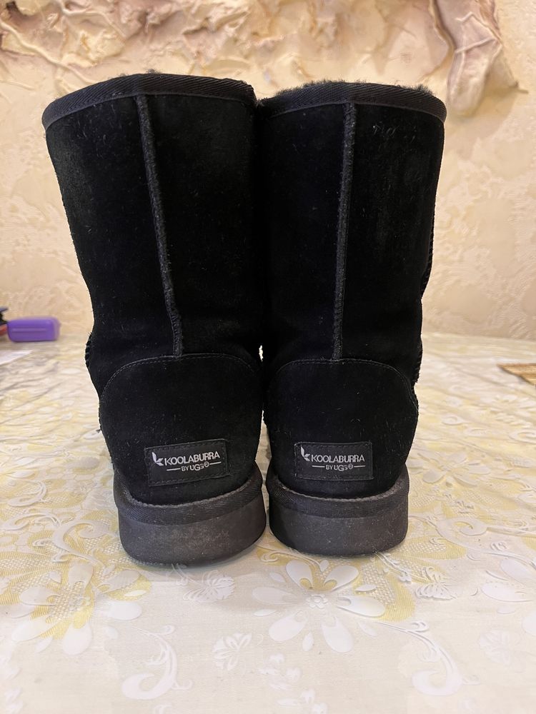 Угги Ugg Koolaburra унісекс