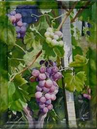 Pintura a óleo " Sol nas Uvas"