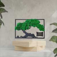 Obraz drzewa bonsai mech chrobotek ozdoba prezent ślub rocznica
