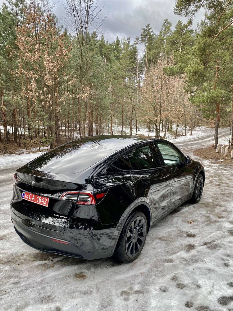 Tesla Model Y 2022 Long Range 82 kWt