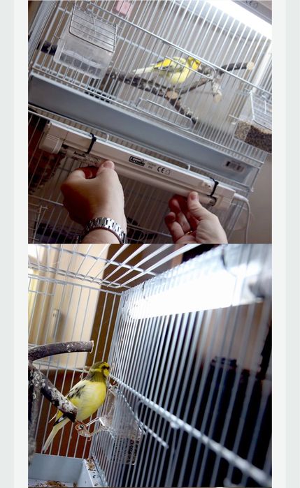 Комплект для птахів Arcadia Bird 8w UVB MiniKit і