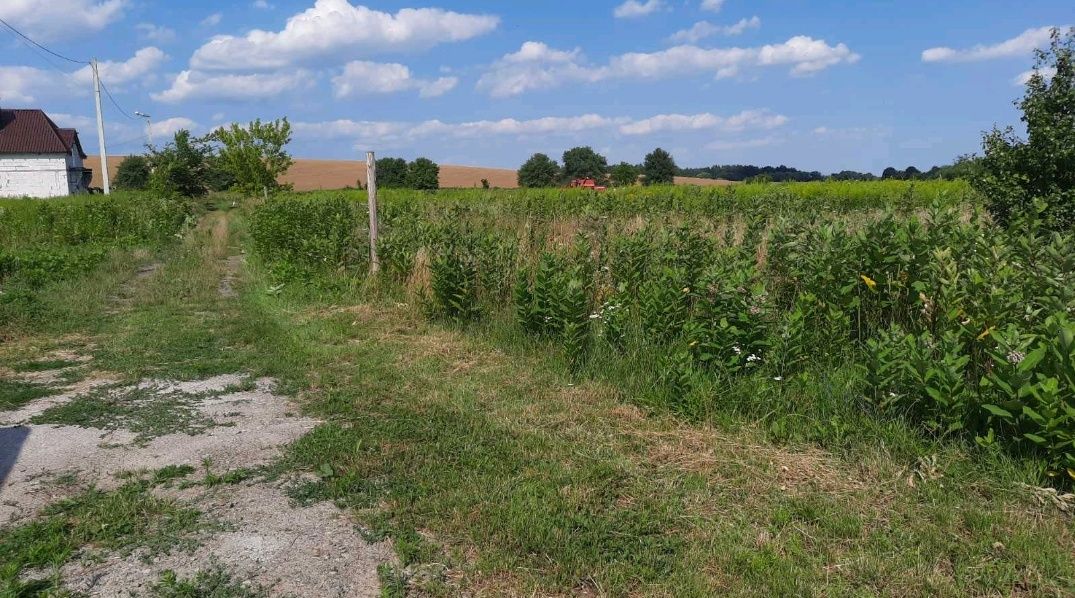 Ділянки під забудову біля Білогородки