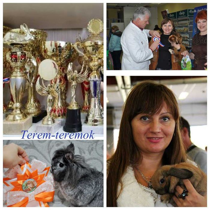 Карликове кроленя NHD у рідкісному забарвленні!