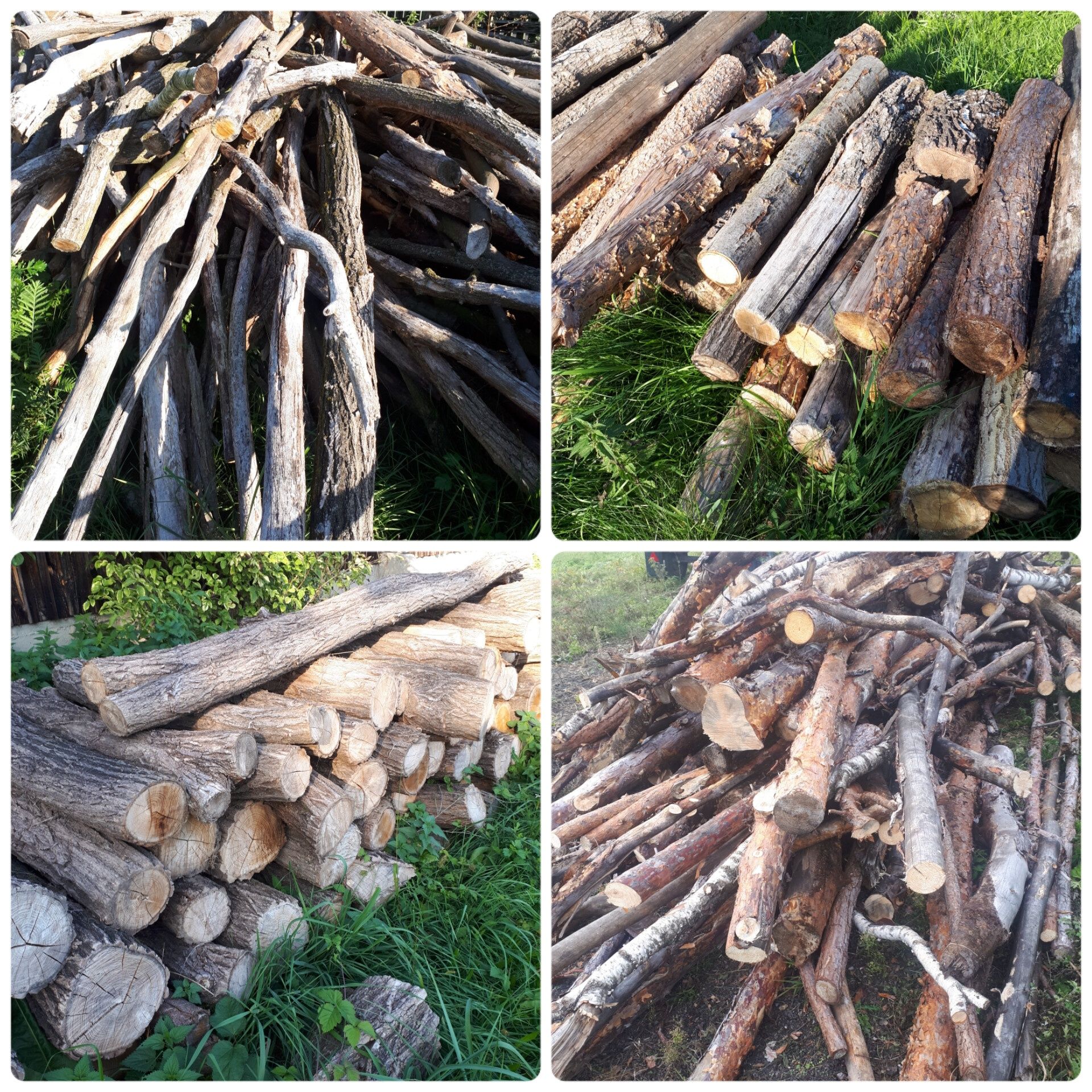 Drewno kominkowe opałowe transport wycinka sosna dąb brzoza akacja