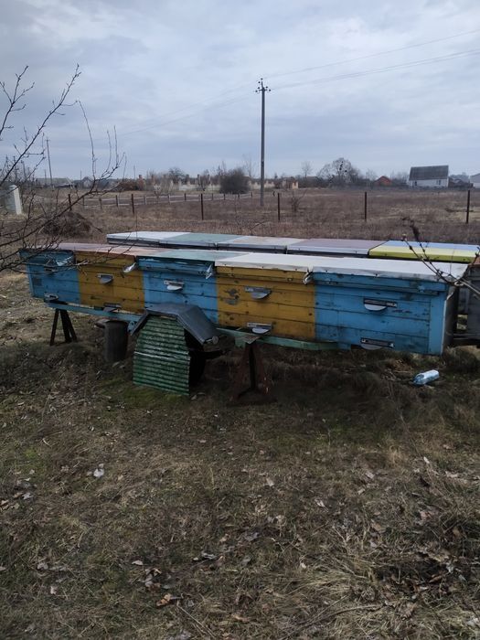 Причіп для бджіл.