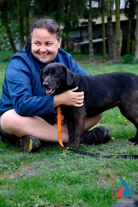 Wyjątkowo oddana, kocha ludzi, radosna - idealny przyjaciel - adoptuj