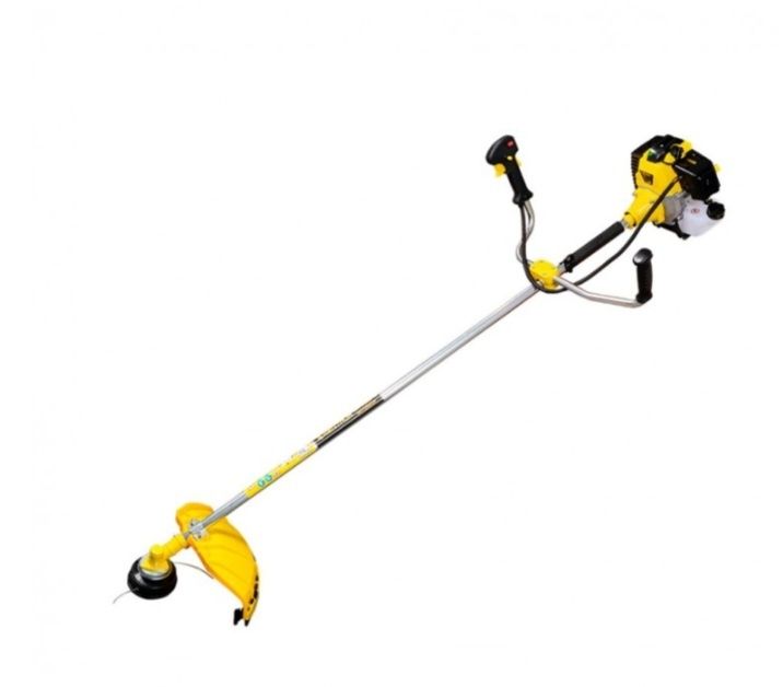 Прокат, оренда мотокоси