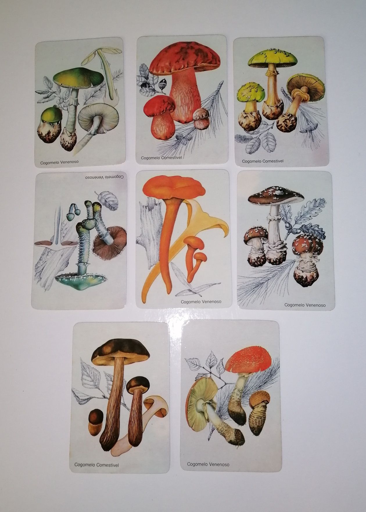 Série de 8 calendários de 1987 de cogumelos