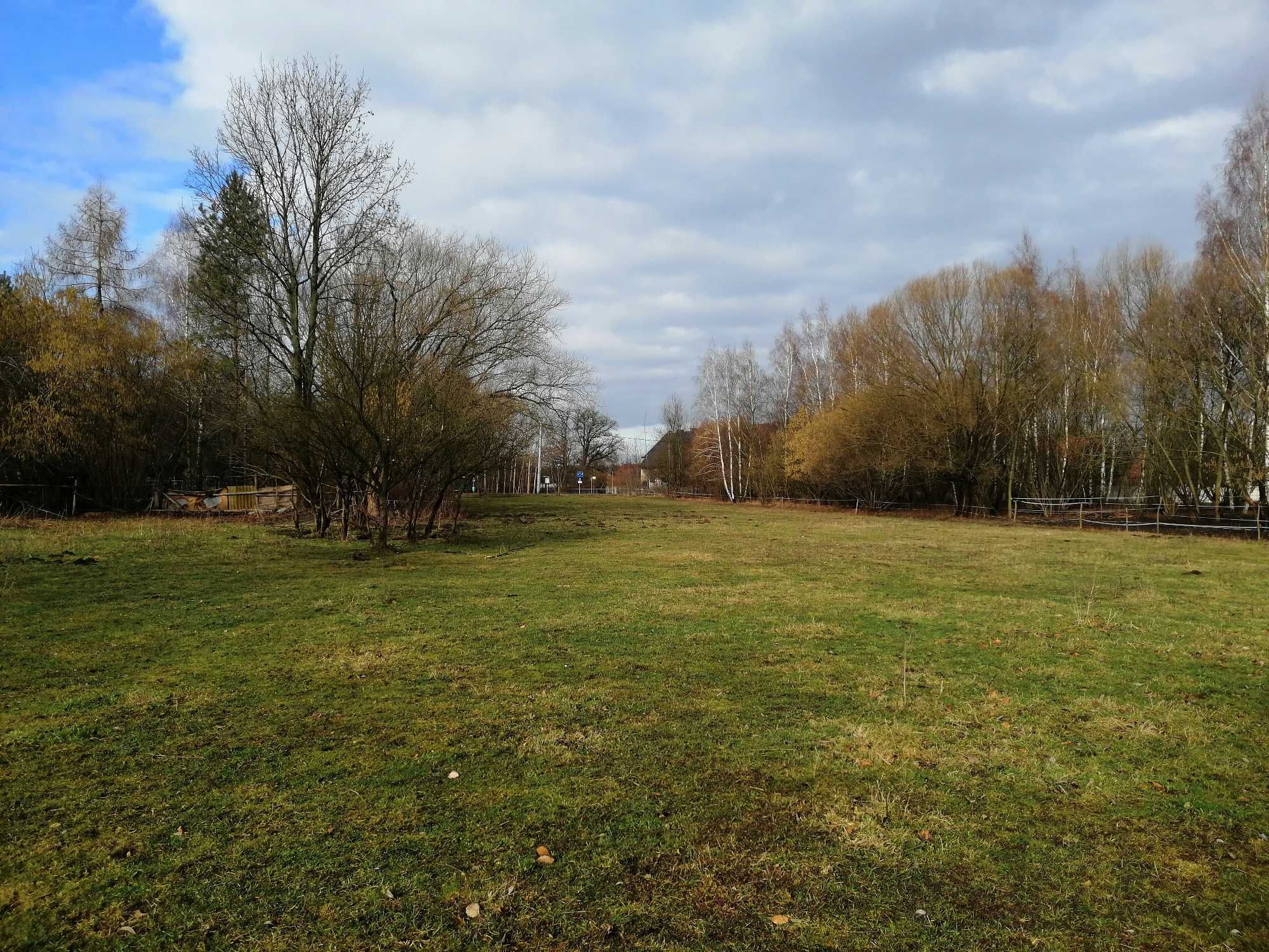 Nieruchomość 0,77 ha - Działka w pobliżu Lasu ! / Dom 89m2
