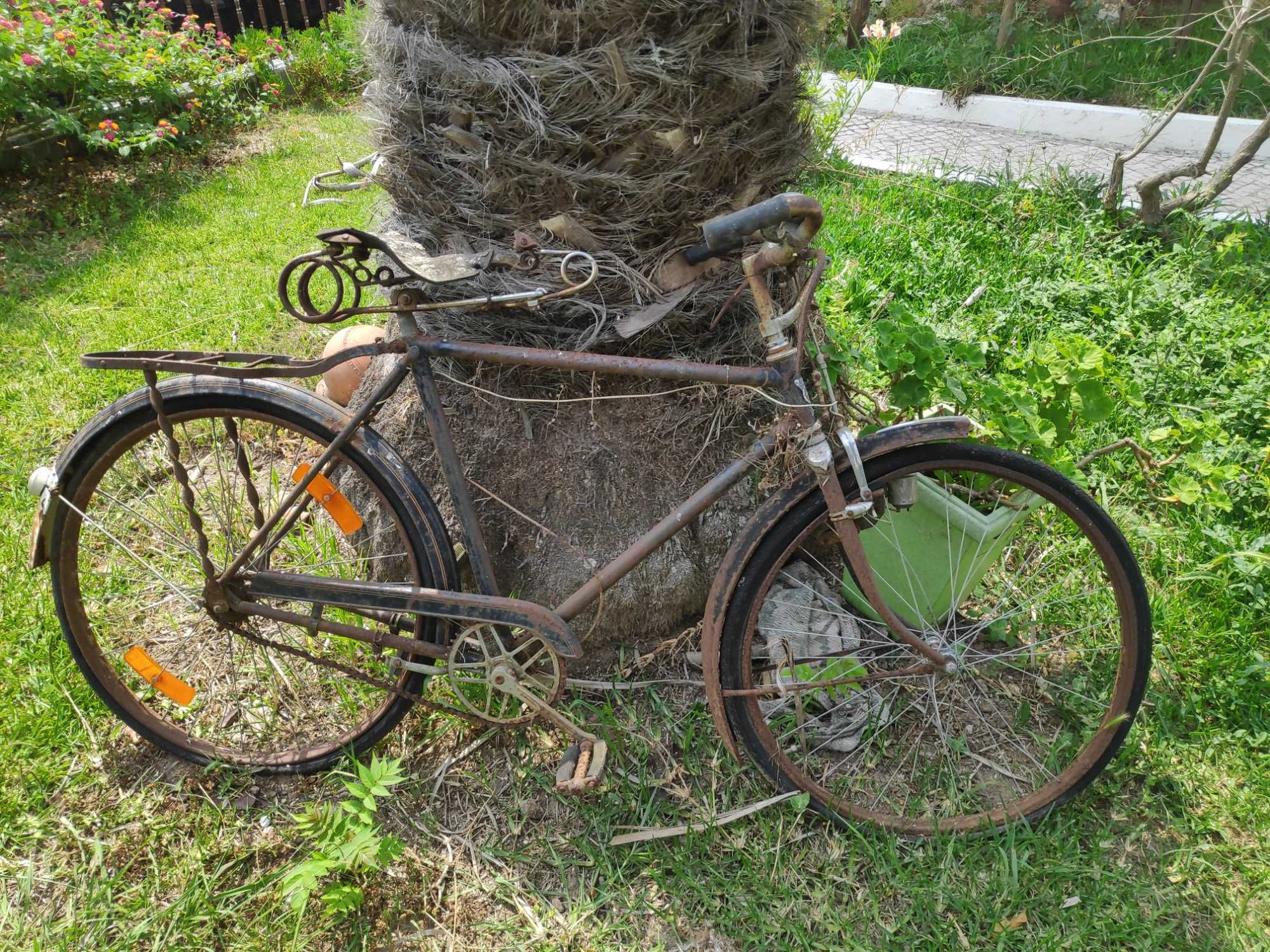 Bicicleta Coleção