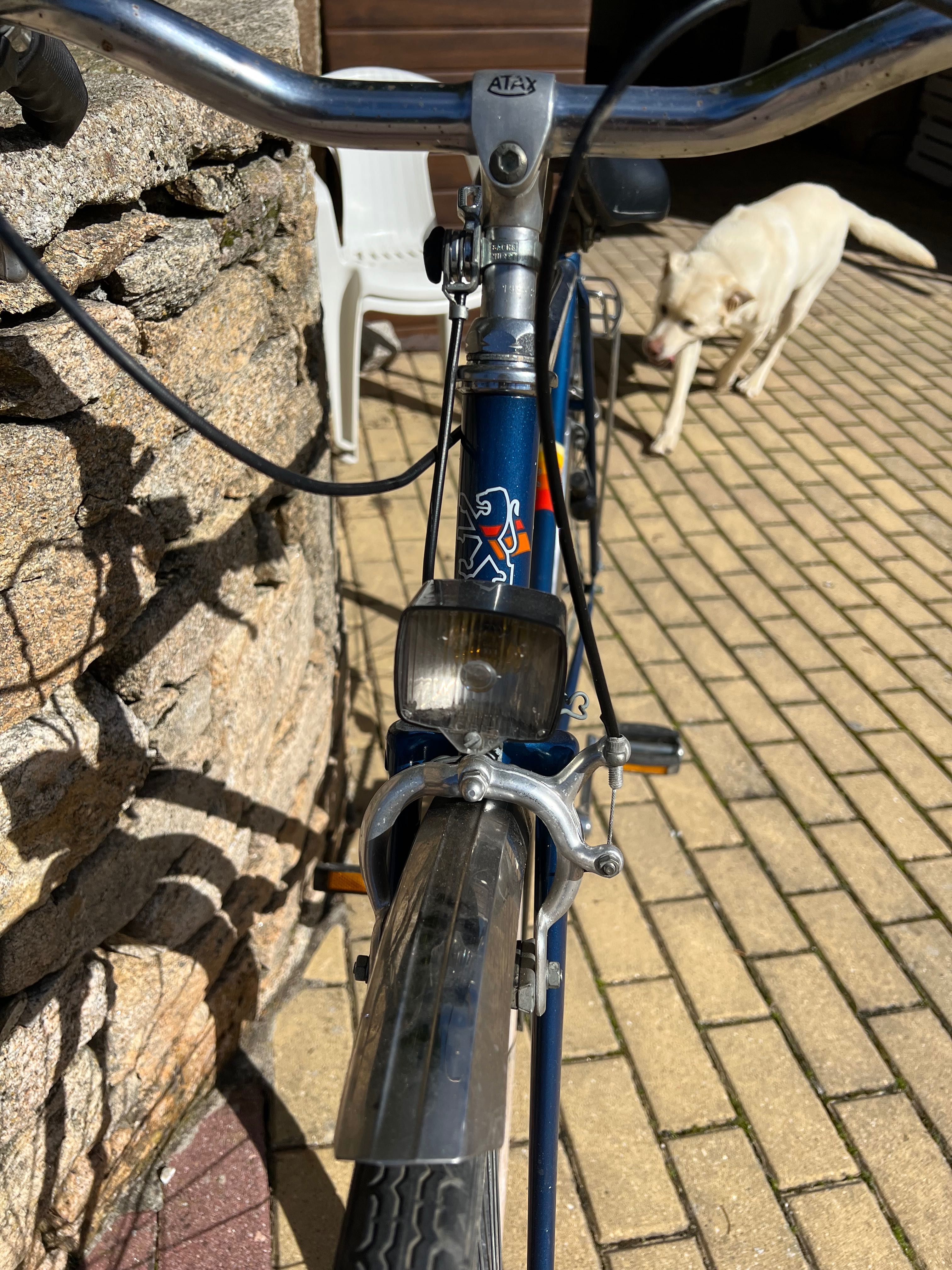 Bicicletas vintage