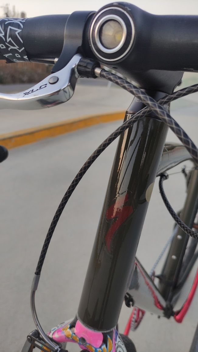 Bicicleta single speed