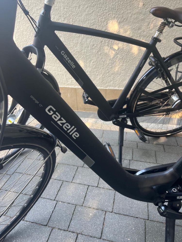 Gazelle Orange C7+